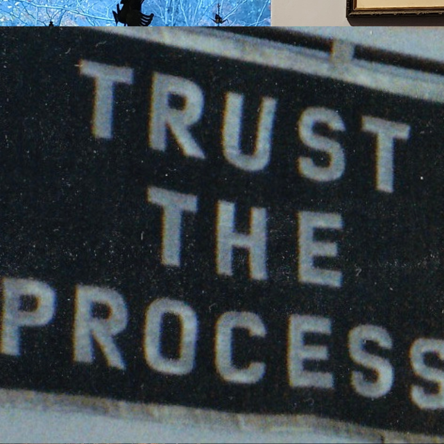 Trust the Process